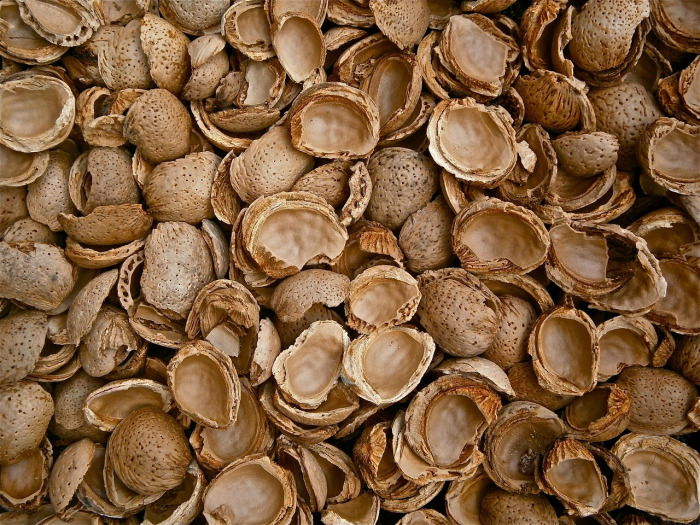 sweet almond oil